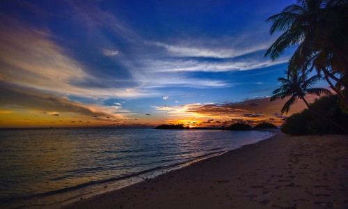 鱼胆的药用价值-鱼胆草功效网鱼胆草的作用和功效知识网站,分享鱼胆草功效与作用大全